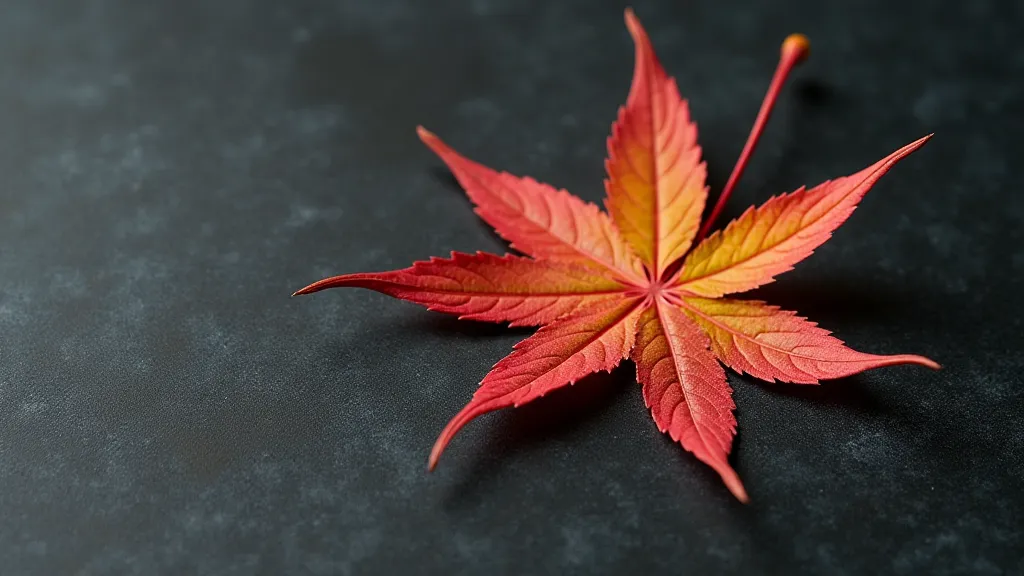 Single maple leaf on a stone surface.