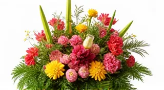 Selecting Flowers and Foliage for Ikebana