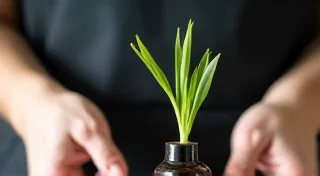 Ikebana for Beginners: Your First Simple Arrangement