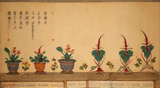 The History of Ikebana: Tracing Its Roots