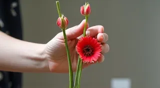Common Mistakes to Avoid When Learning Ikebana