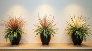 The Three Main Ikebana Schools: Ohara, Ikenobo, & Sogetsu