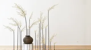 The Role of Line and Space in Ikebana Design